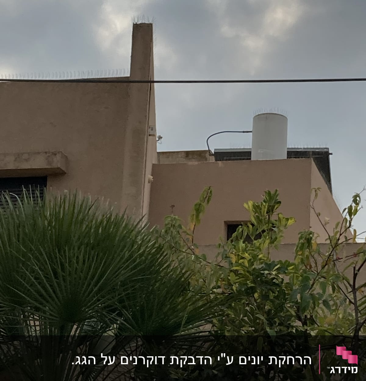 דוקרנים על גג למניעת יונים